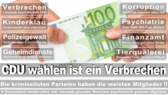 wahlplakate-cdu-spd-fdp-afd-piratenpartei-npd-linke-gruene-freie-waehler-stimmzettel-361