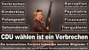wahlplakate-cdu-spd-fdp-afd-piratenpartei-npd-linke-gruene-freie-waehler-stimmzettel-38